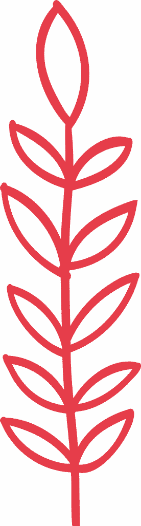 bottom flora